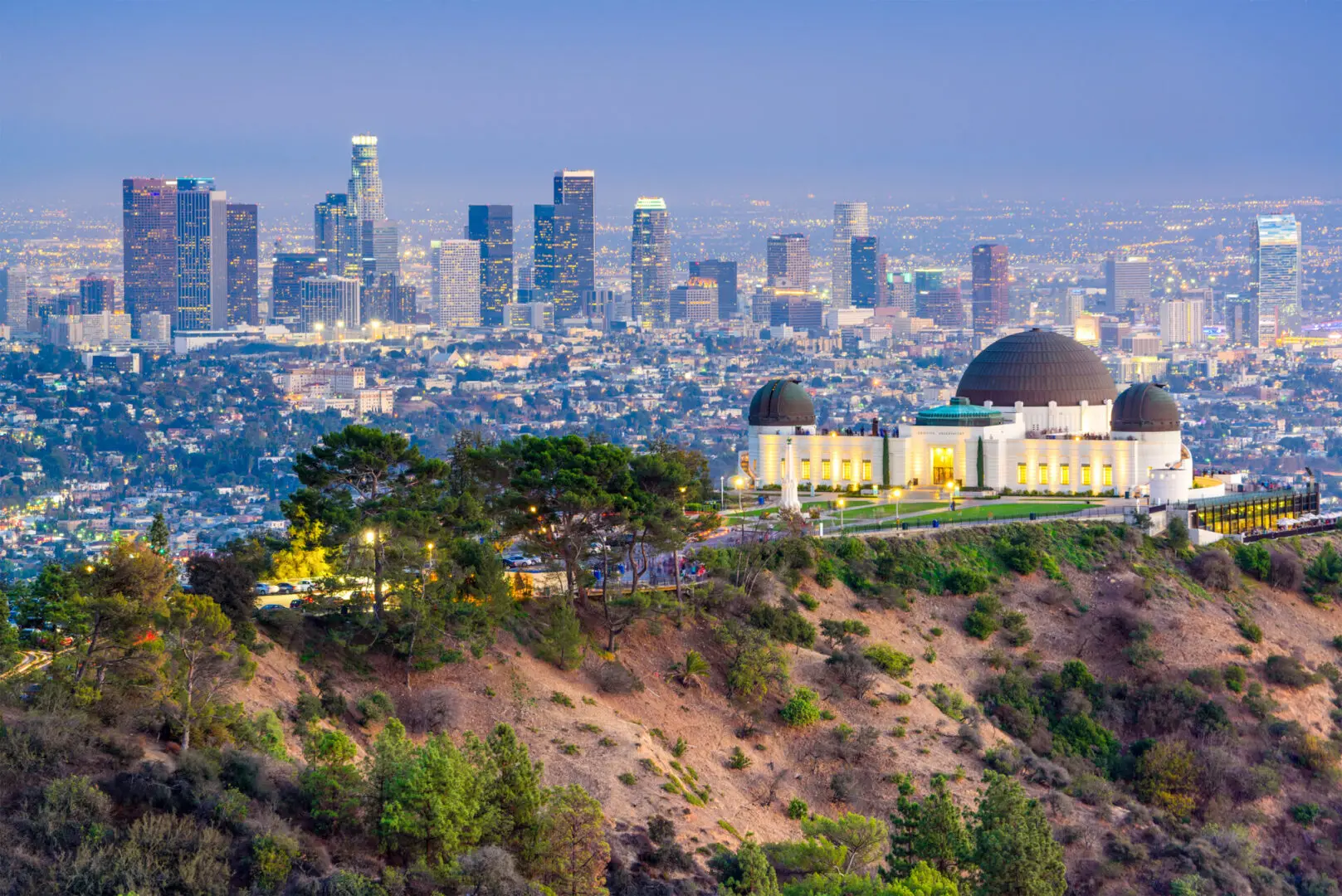 A view of the city skyline from above.