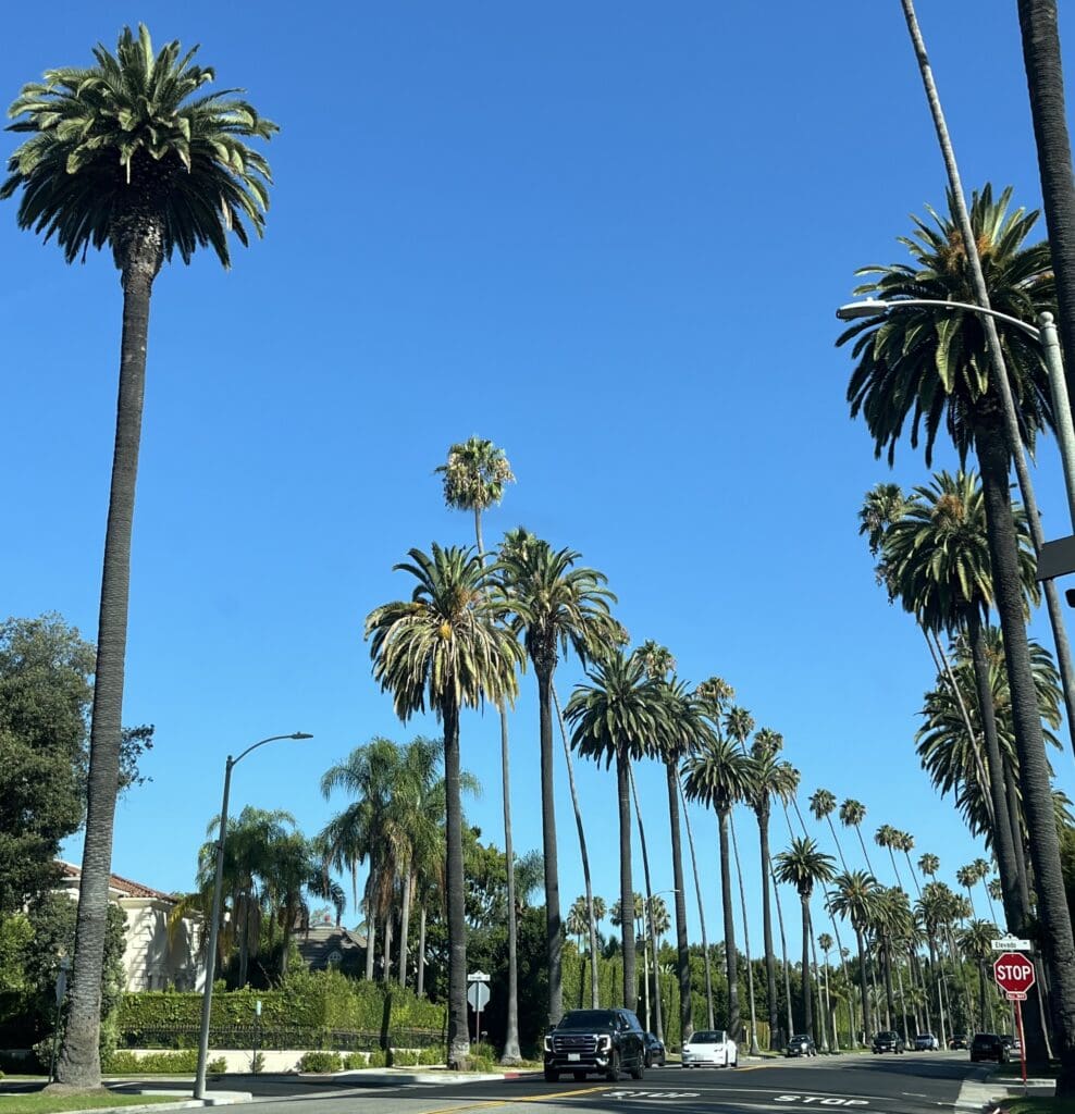 Things to do with the family in Los Angeles
